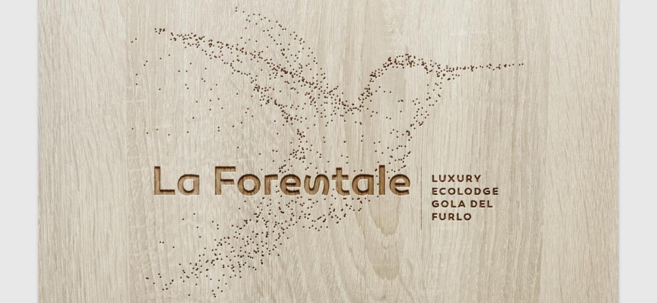 La Forestale Luxury Ecolodge B&B Primo Piano Acqualagna Exterior photo